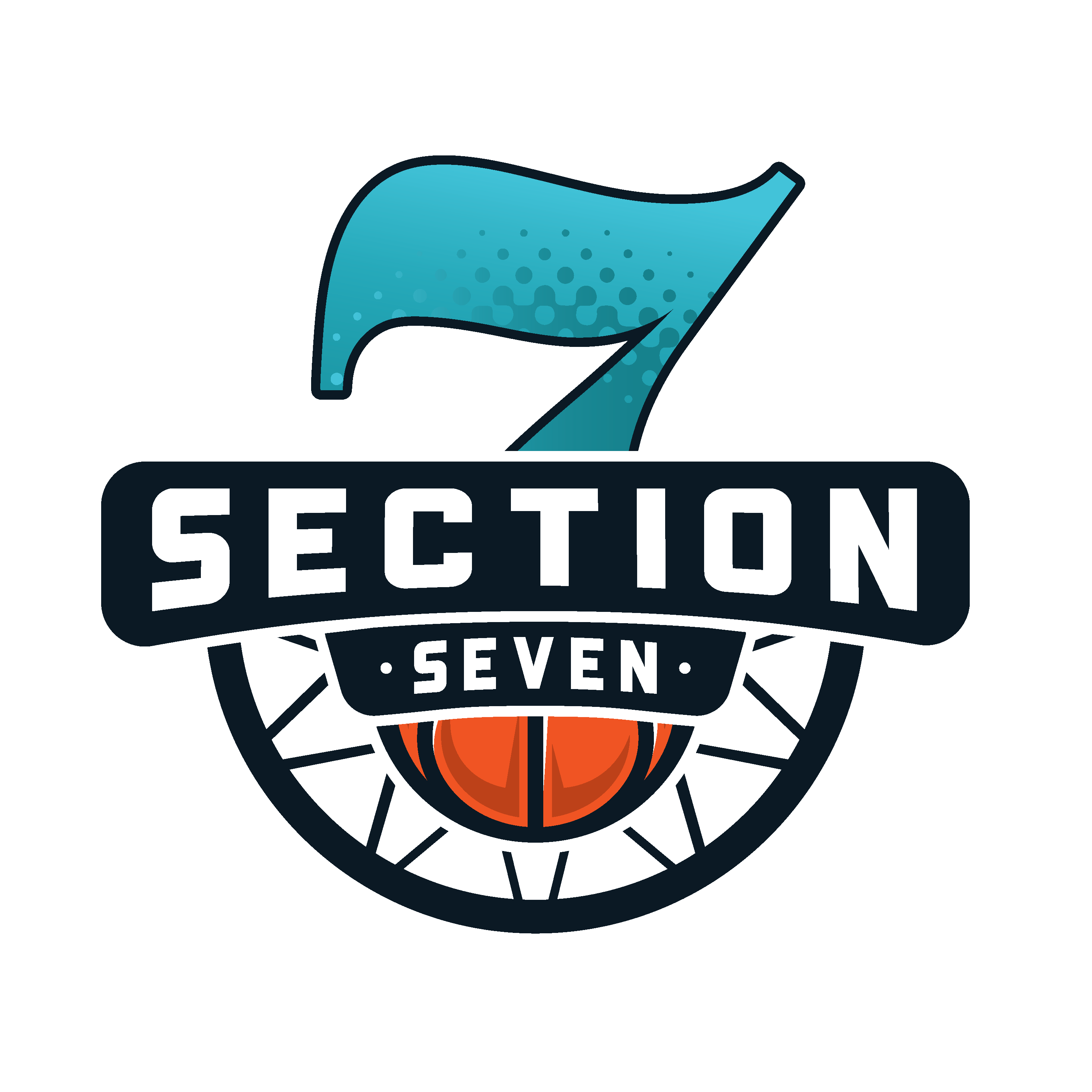 section 7 logo 2